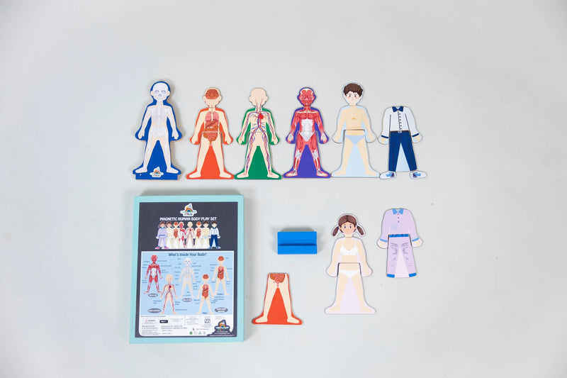 MAGNETIC HUMAN BODY PLAY SET