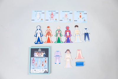 MAGNETIC HUMAN BODY PLAY SET