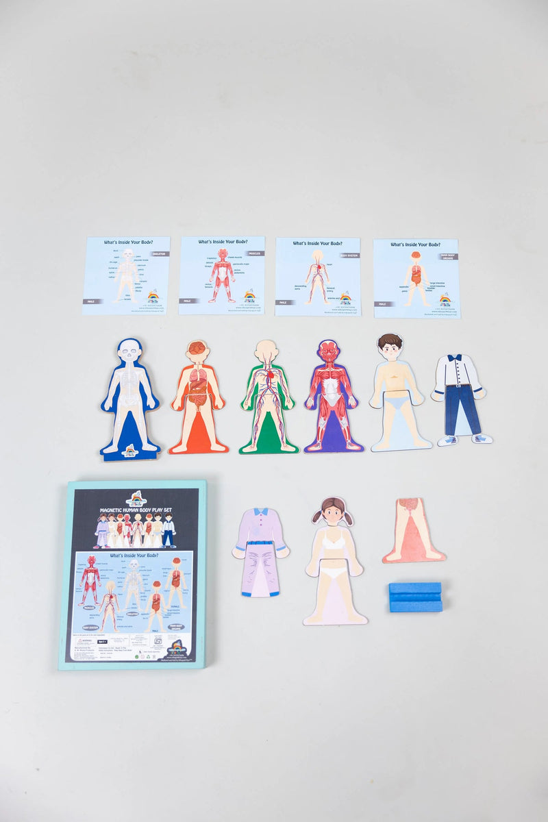 MAGNETIC HUMAN BODY PLAY SET