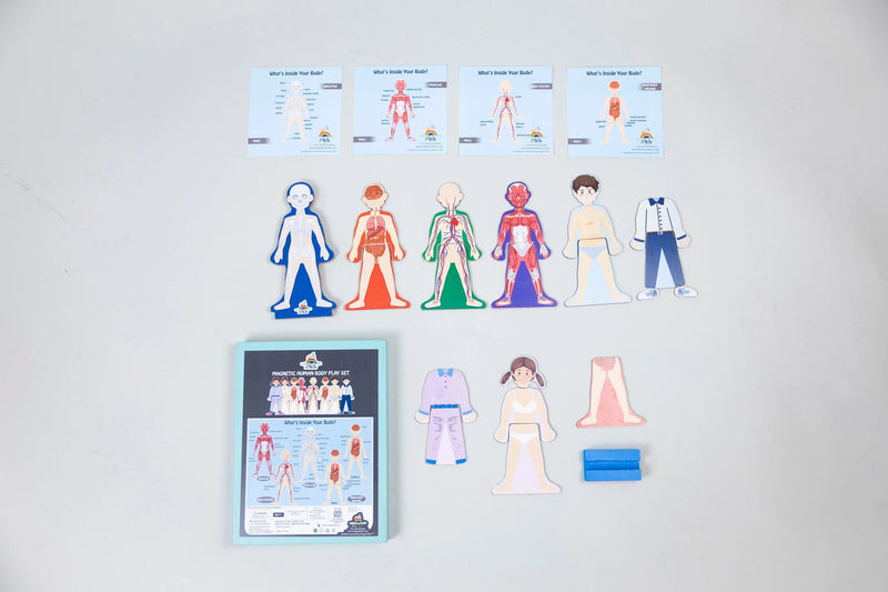 MAGNETIC HUMAN BODY PLAY SET