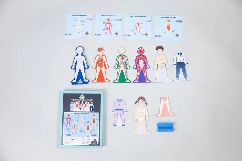 MAGNETIC HUMAN BODY PLAY SET