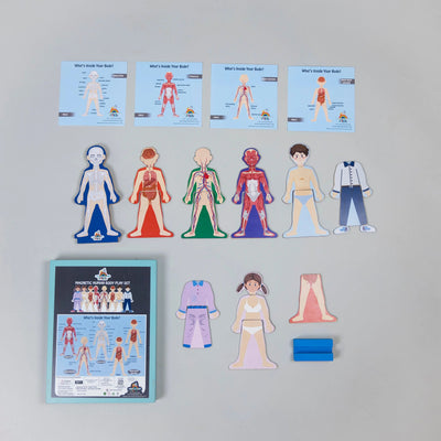 MAGNETIC HUMAN BODY PLAY SET