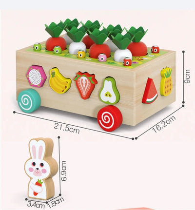 MONTESSORI MULTIFUNCTION FARM ORCHARD INTELLIGENCE CAR