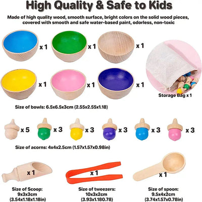 WOODEN ACORN SORTING & COUNTING TOY