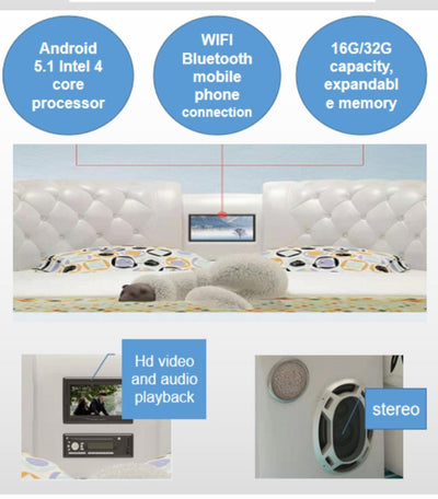 Smart Luxury Bed with Massager Speaker 2.0
